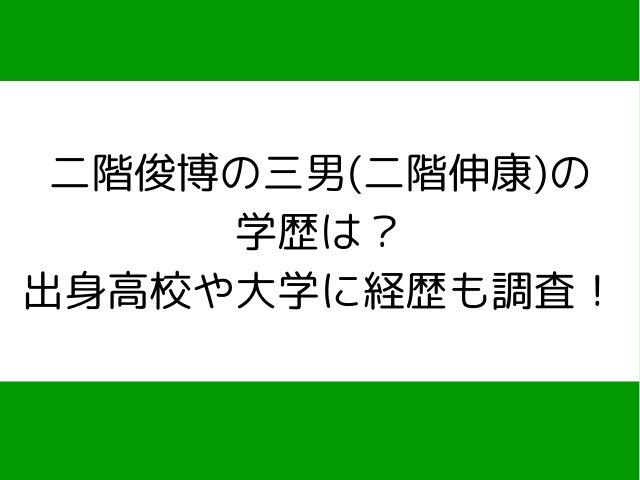 二階俊博の三男(二階伸康)の学歴は？出身高校や大学に経歴も調査！